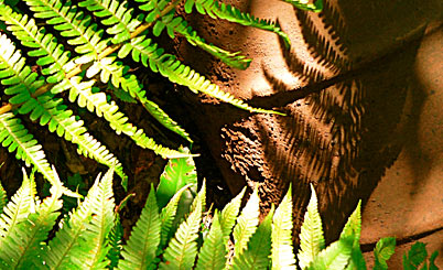 免费ddos在线攻击